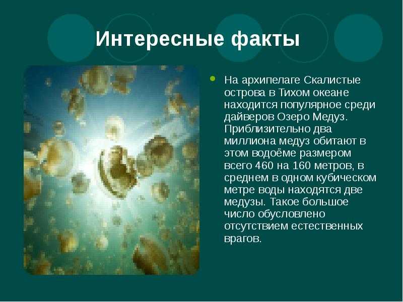 Япония: природа и ее особенности, климат, достопримечательности и красивые города страны