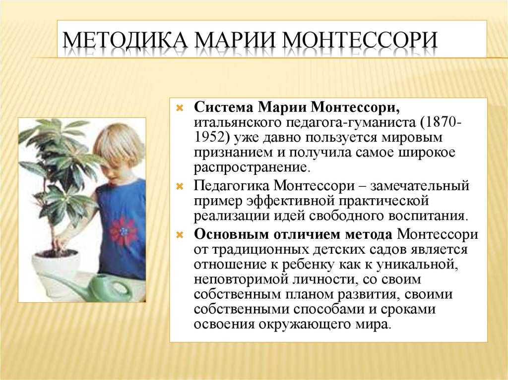 Педагогика монтессори презентация