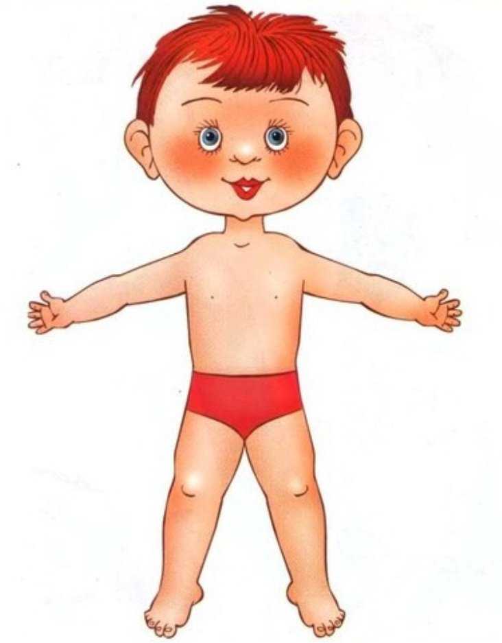Рисунок тело человека для детей – наглядное пособие по анатомии из подручных материалов. тематическое занятие "внутренние органы человека" :: это интересно! уроки рисования для начинающих, мультики, раскраски.