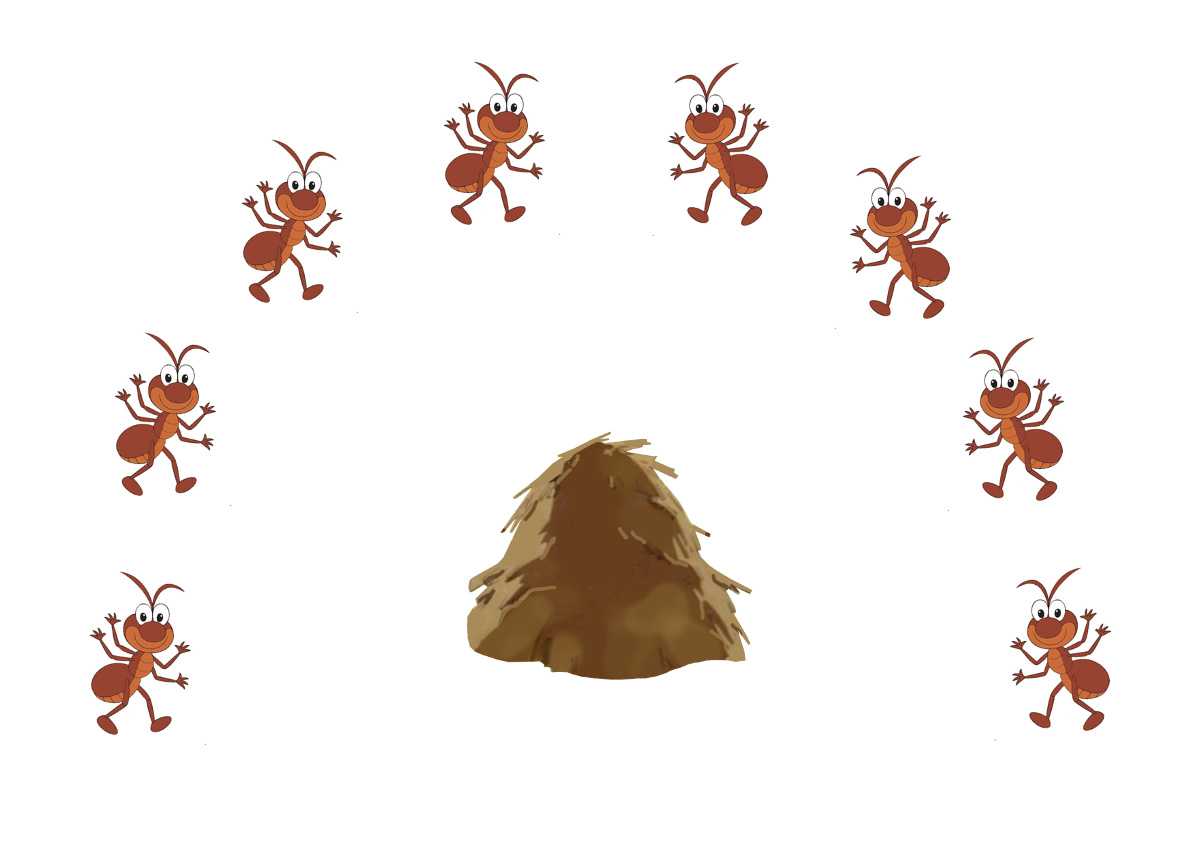 Жизнь муравьев для детей. научные факты о муравьях, которые вас потрясут
