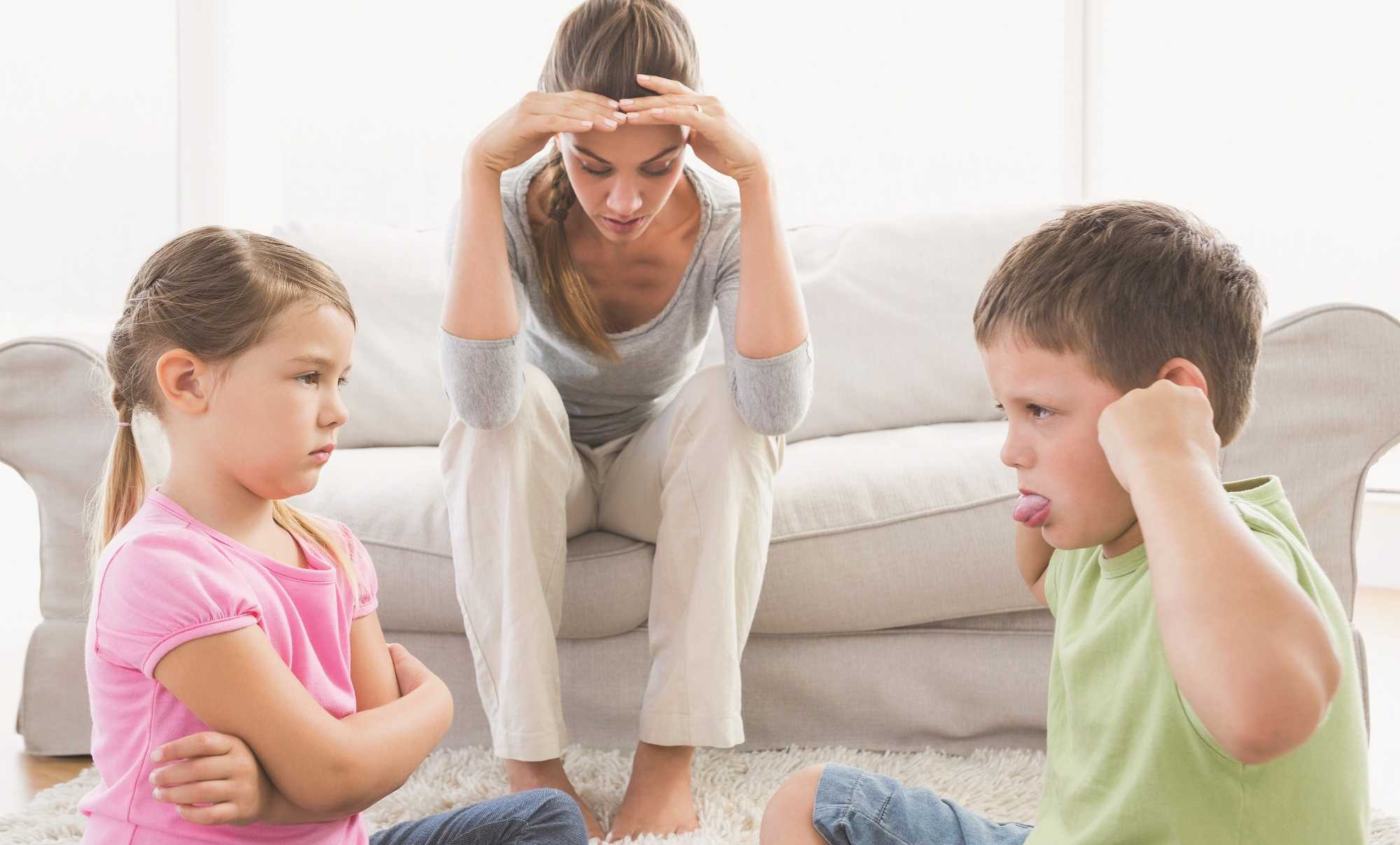 Что делать, когда дети ссорятся в одной семье и как их подружить — medalvian