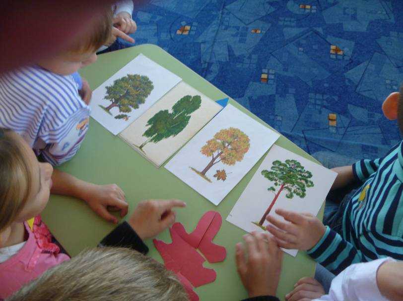 Занятия по экологии в старшей группе детского сада: пример конспекта по фгос, разработка проекта и прочее