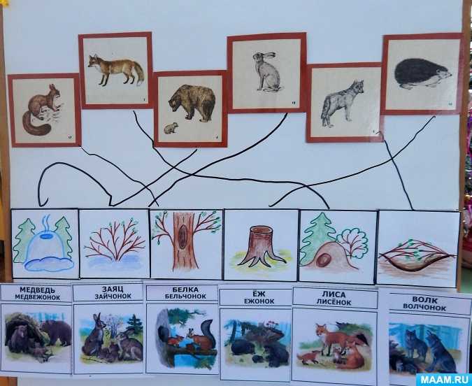 Занятие по ознакомлению с окружающим миром в средней группе детского сада, конспект по фгос, работа с календарем природы