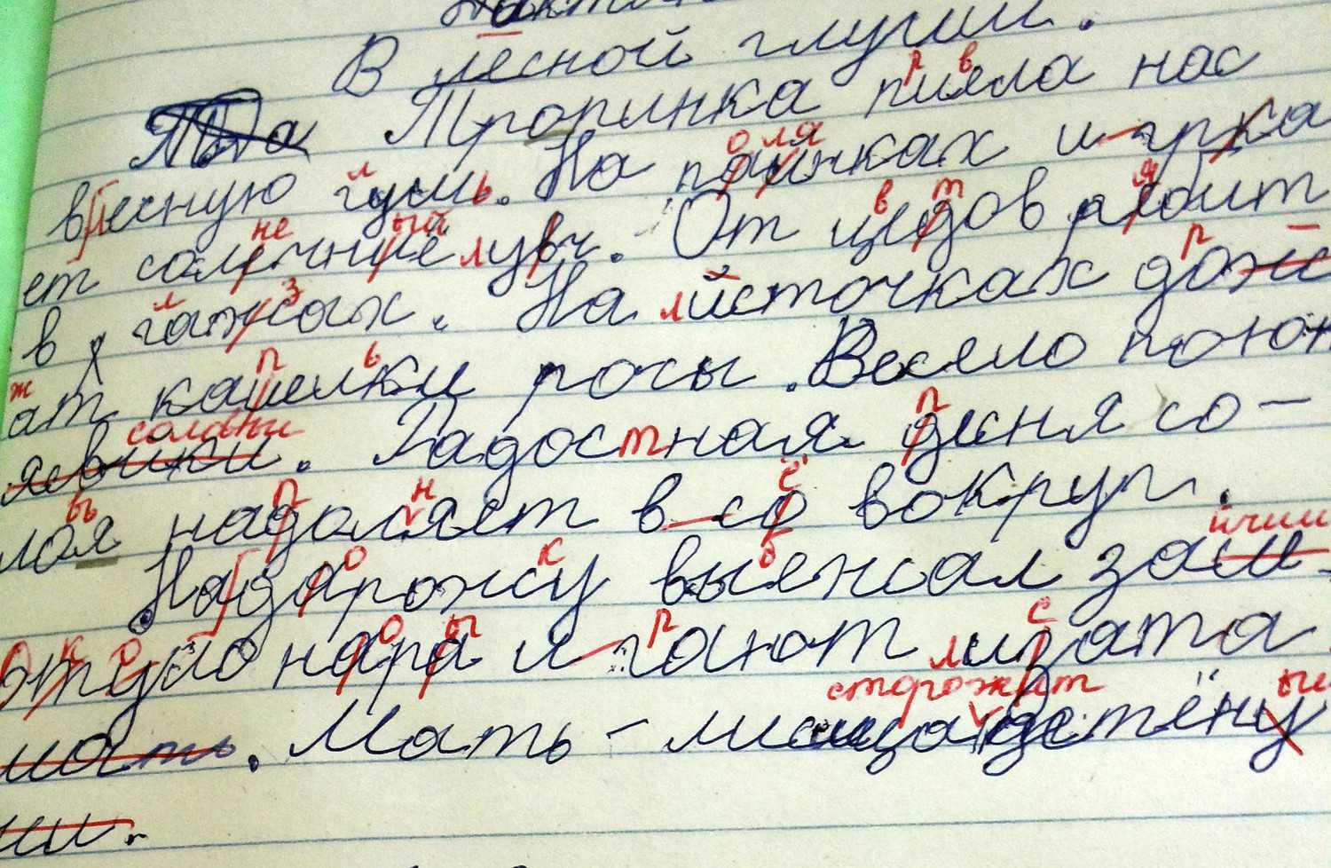 «почерк леонардо»: что делать, если ребёнок пишет зеркально