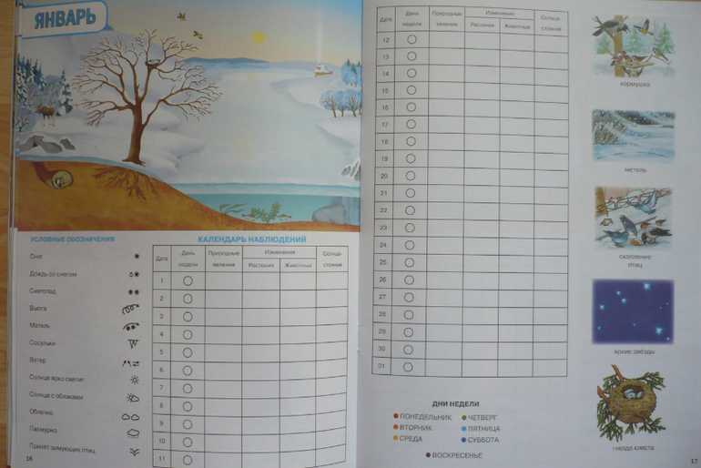 Как сделать дневник наблюдения по географии. как вести дневник природы. как правильно заполнять школьный дневник погоды