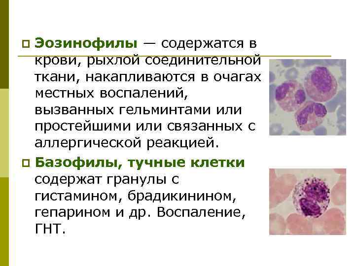 Эозинофилы в крови 40