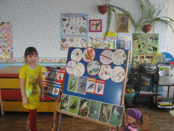 Экология для дошкольников — игры и презентация про экологию для детей