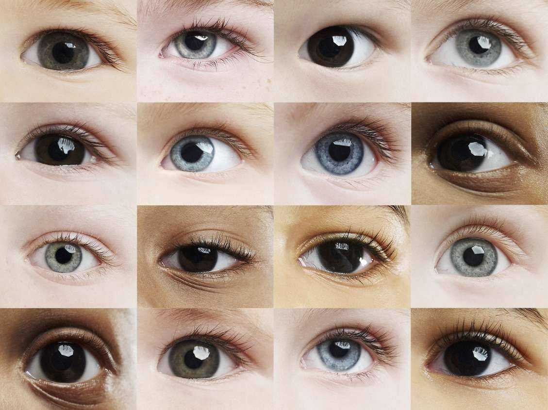 Как узнать цвет глаз будущего ребёнка - "здоровое око"