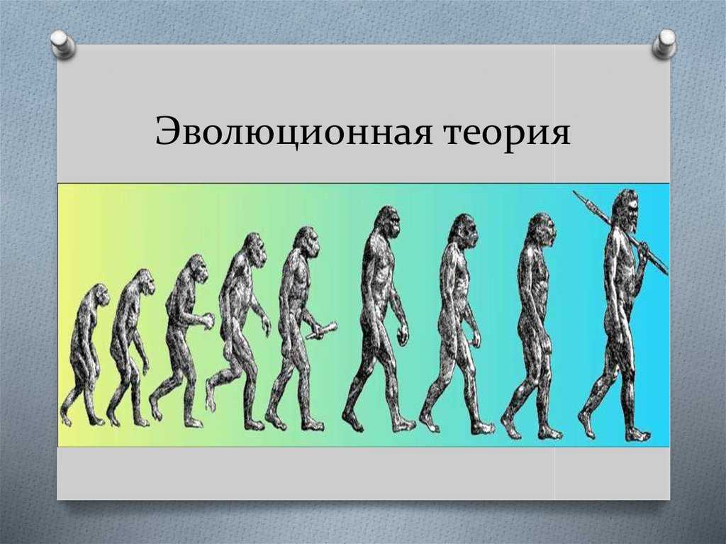 Эволюция живой природы. эволюционная теория. движущие силы эволюции. | егэ по биологии