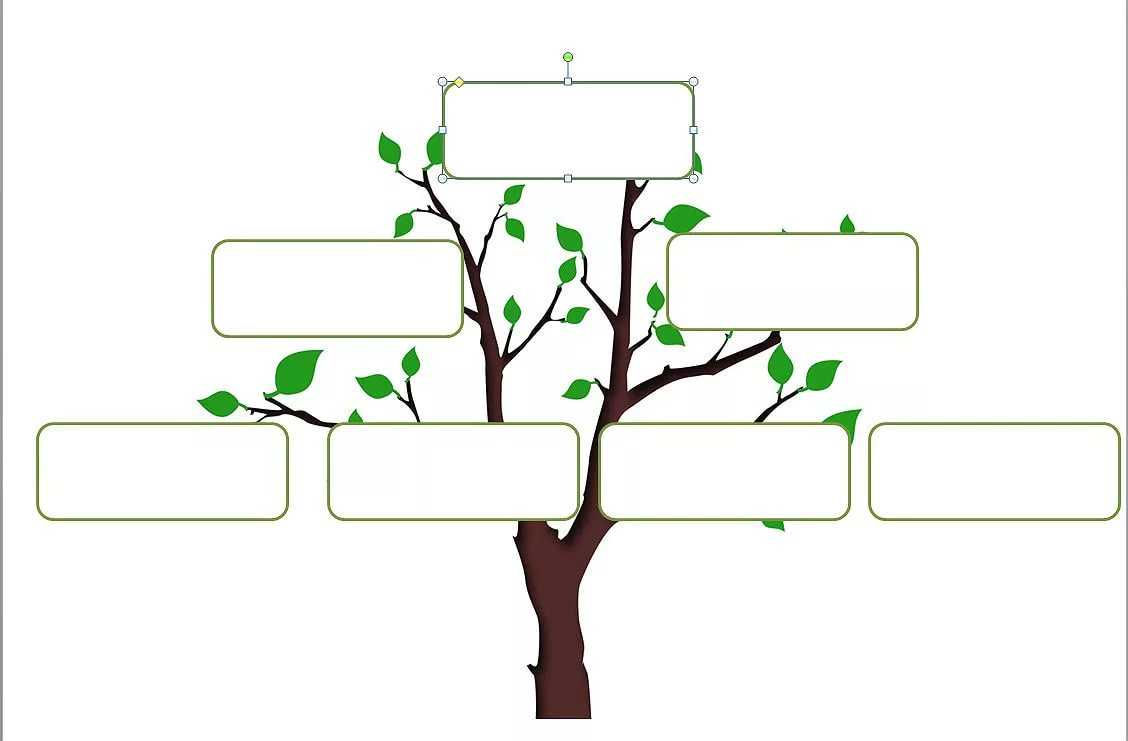 Генеалогическое древо своими руками: сбор информации, онлайн-шаблоны и образцы для составления