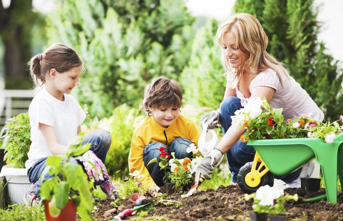 Вся семья работает в школе. Огород для детей. Семья в саду. Дети помогают родителям. Дети в саду.