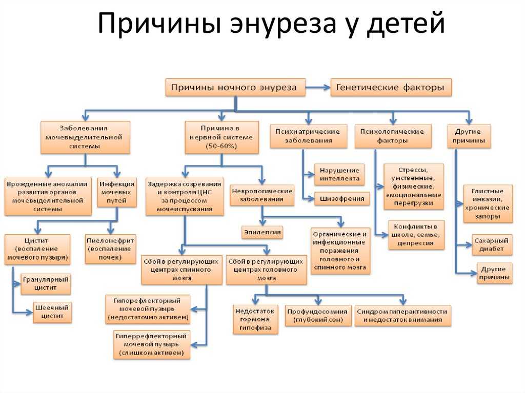 Ночной энурез (недержание мочи) у взрослых и детей