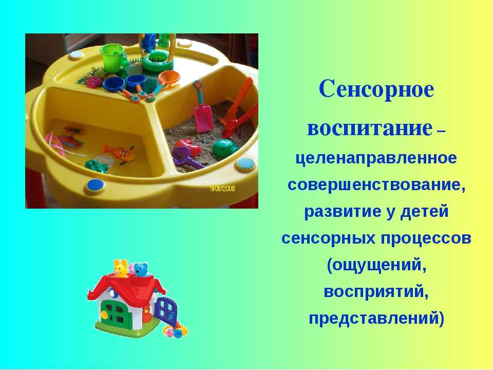 Сенсорное развитие детей 2-3 лет и раннего возраста через дидактические игры