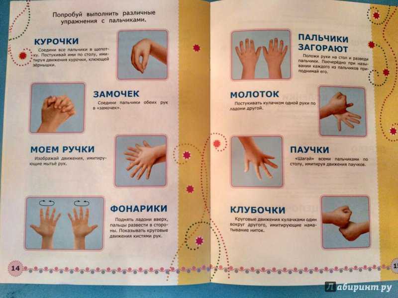Развитие мелкой моторики рук у детей дошкольного возраста 2-3, 4-5 лет