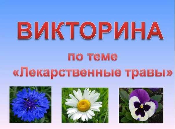 Аптека под ногами | статья в журнале «юный ученый»