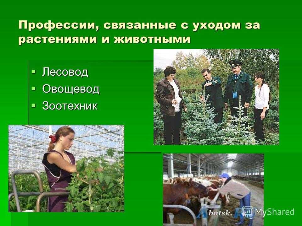 5 работ связанных с биологией