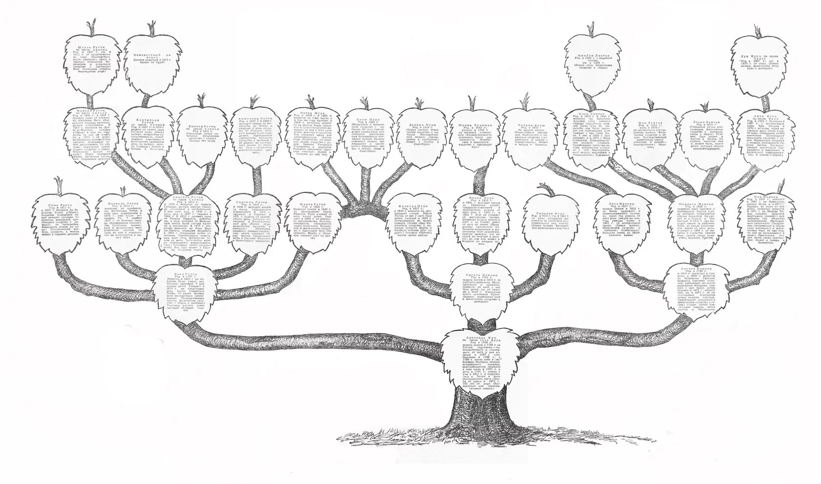 Родословное дерево: как составить, своими руками, шаблоны для заполнения.