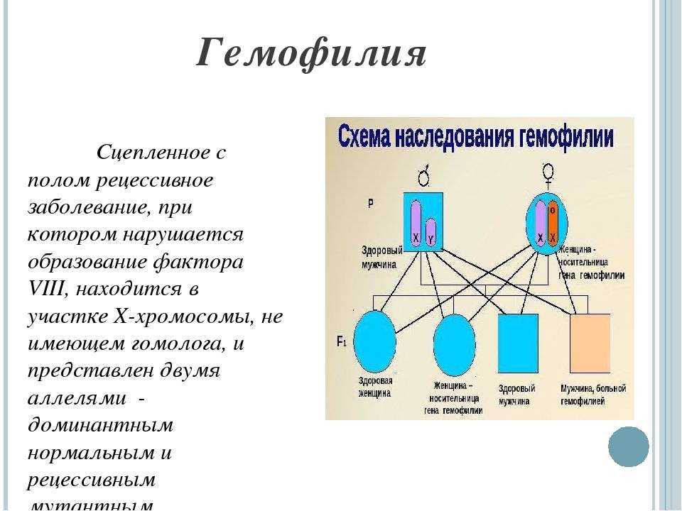 Генотип женщины страдающей гемофилией. Схема наследования гемофилии. Гемофилия Тип наследования. Гемофилия сцепленное с полом.