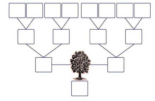 Родословное дерево - что это такое, способы составления и оформления