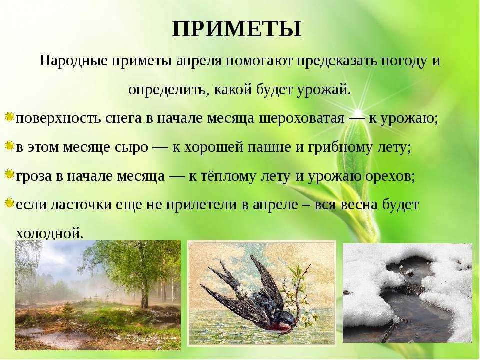 Русские народные зимние игры для дошкольников: подборка с условиями, фото и видео