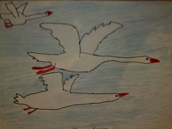 Занятие рисование перелетные птицы. Рисование подг гр перелётные птицы. Рисование для детей перелетные птицы. Рисование для детей подготовительной группы перелетные птицы. Рисование перелетные птицы старшая группа.