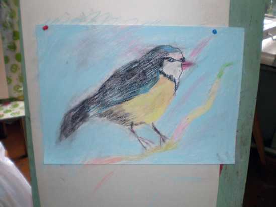 Конспект занятия по рисованию в старшей группе «перелетные птицы»