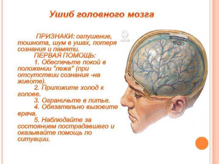 Первые и отсроченные симптомы и признаки при сотрясении мозга