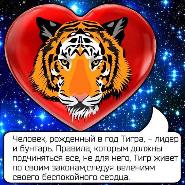 Совместимость тигров в любви и браке: общая характеристика, особенности знака, лучшие пары