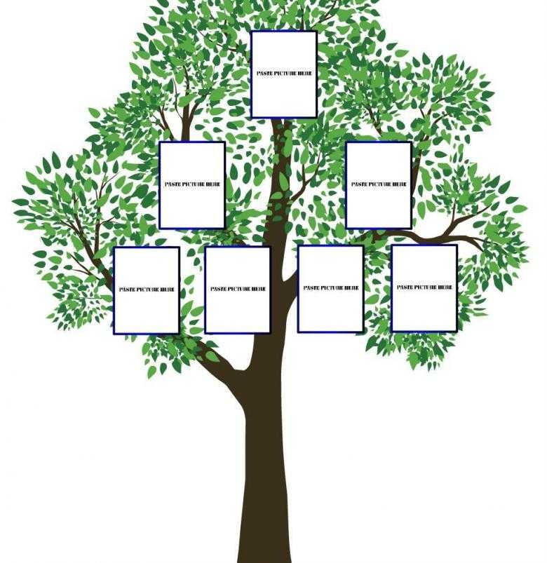 Как составить генеалогическое древо - пошаговая инструкция с фото идеями