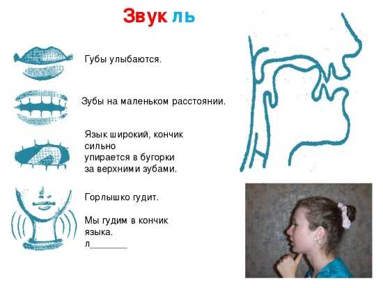 Подробно расскажем о способах постановки звука л, приведем примеры тренировочных упражнений и основных ошибок артикуляции