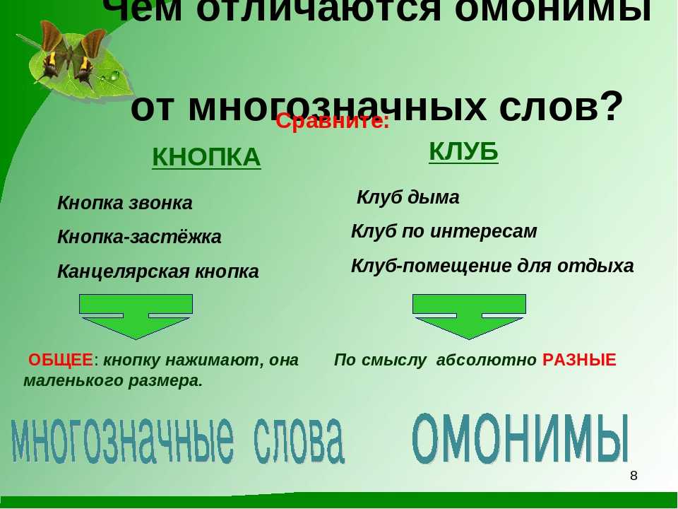 Перевести многозначное слово. Омонимы. Омонимы примеры 5 класс. Что такое омонимы в русском языке. Омонимы 5 класс презентация.