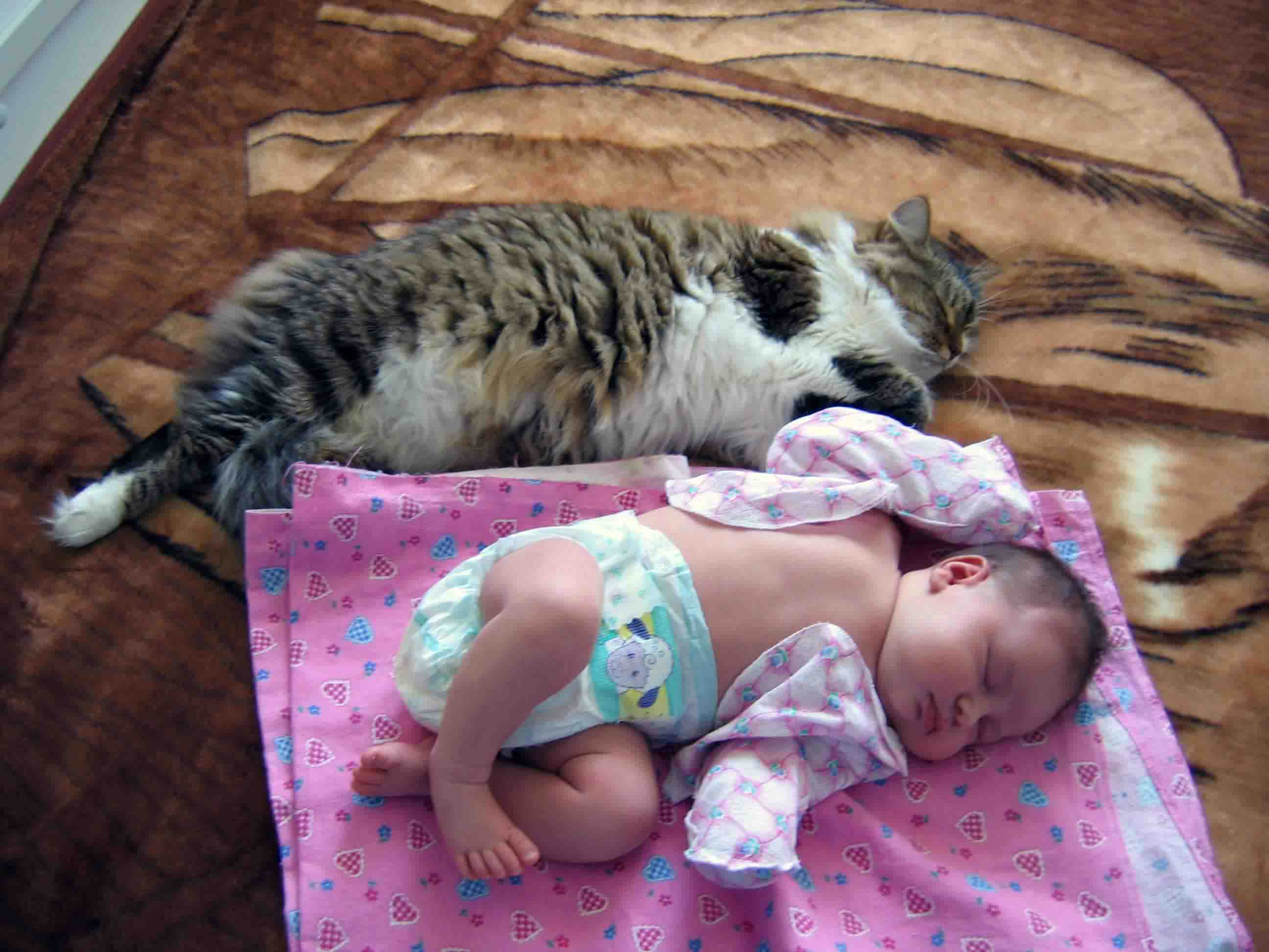 Можно ли заводить. Кот для детей. Кошка и младенец. Младенец и котенок.