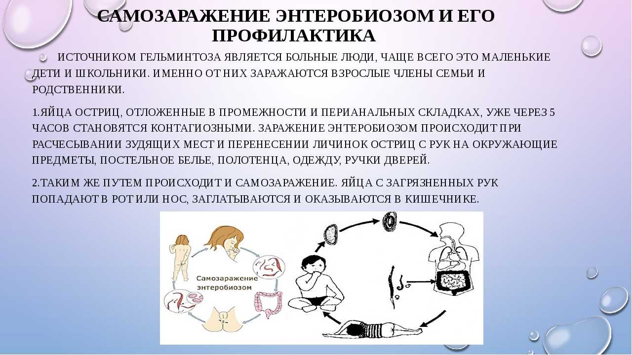 Заражение через тесты. Профилактика от энтеробиоза. Самозаражение энтеробиозом и его профилактика. Профилактика гельминтозов у детей. Схема заражения энтеробиозом.