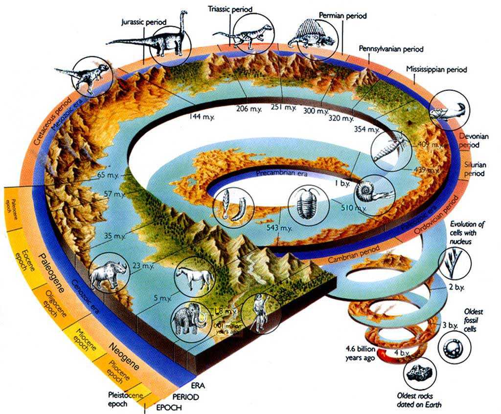 Эры возникновения жизни. Эволюция жизни на земле. Спираль эволюции жизни. Развитие жизни насземле. Схема эволюции жизни на земле.
