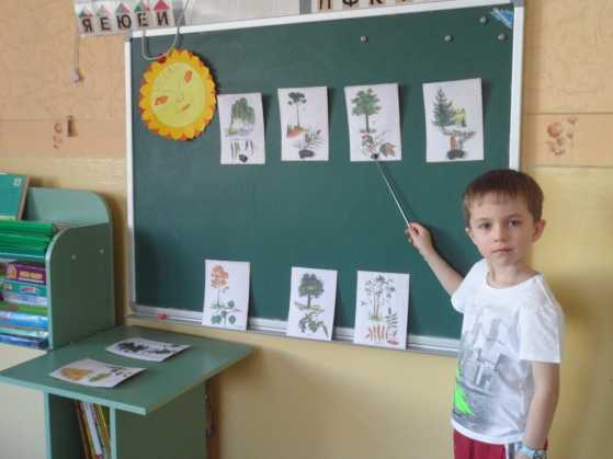 Экологическое воспитание в старшей группе детского сада