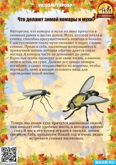 Насекомые картинки для детей: 20+ карточек с изображениями насекомых