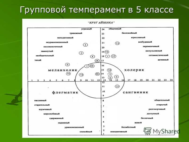 Тест на темперамент с диаграммой