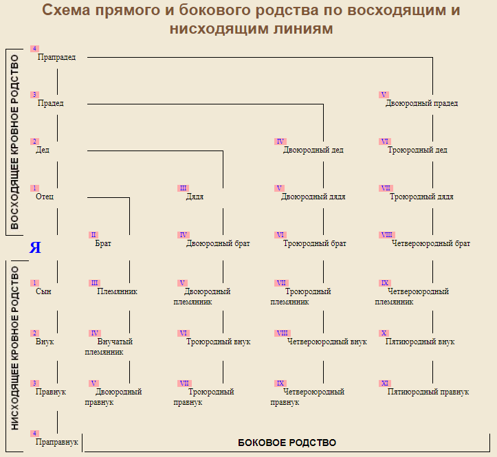 Родные обнаглели и нагло приезжали в отпуск к нам деревню. теперь беру с них деньги за ночевку
