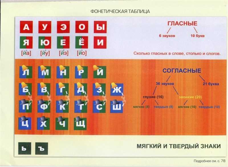 Твёрдые согласные звуки - правило и примеры запоминания для 1 класса