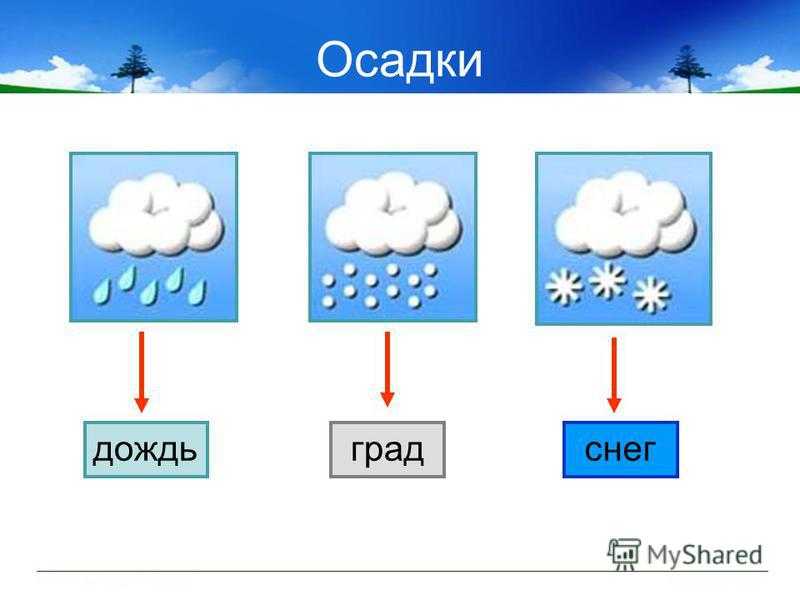 Загадки про погоду с ответами: лучшая подборка для дошкольников и учеников начальной школы / mama66.ru