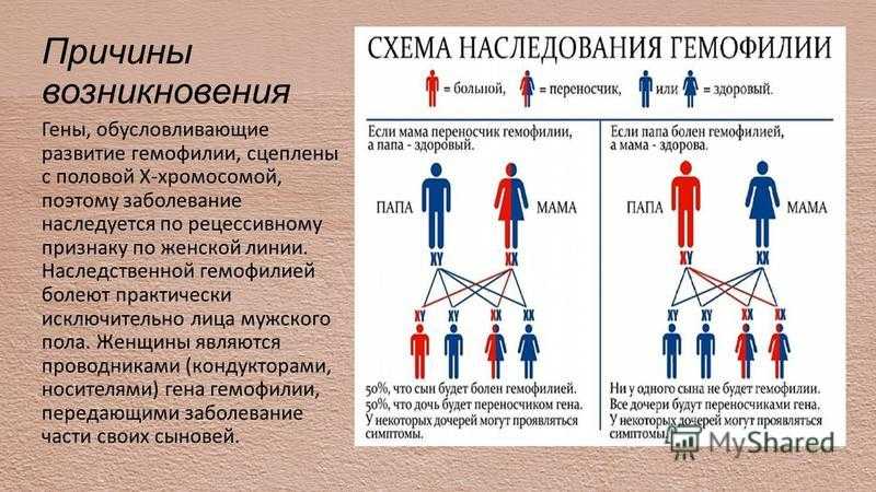 Назовите причины наследственной. Клинические симптомы гемофилии. Гемофилия Тип наследования. Болезнь гемофилия Тип наследования. Гемофилия путь наследования.