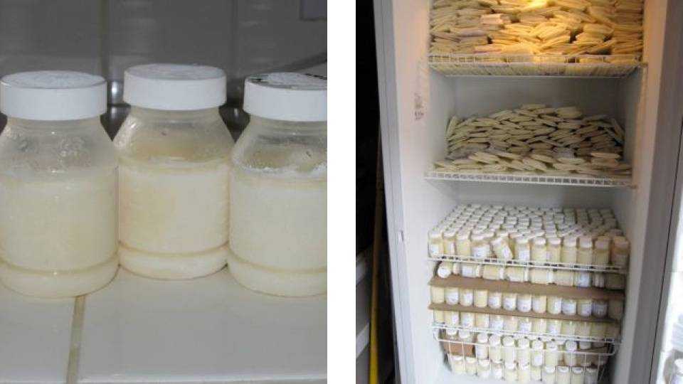Грудное молоко: как хранить и замораживать
