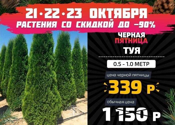 Взрослый сын и мать: как регулировать отношения?
