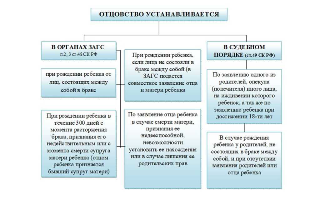 Материнство устанавливается схема