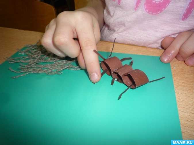 Жизнь муравьев для детей. научные факты о муравьях, которые вас потрясут