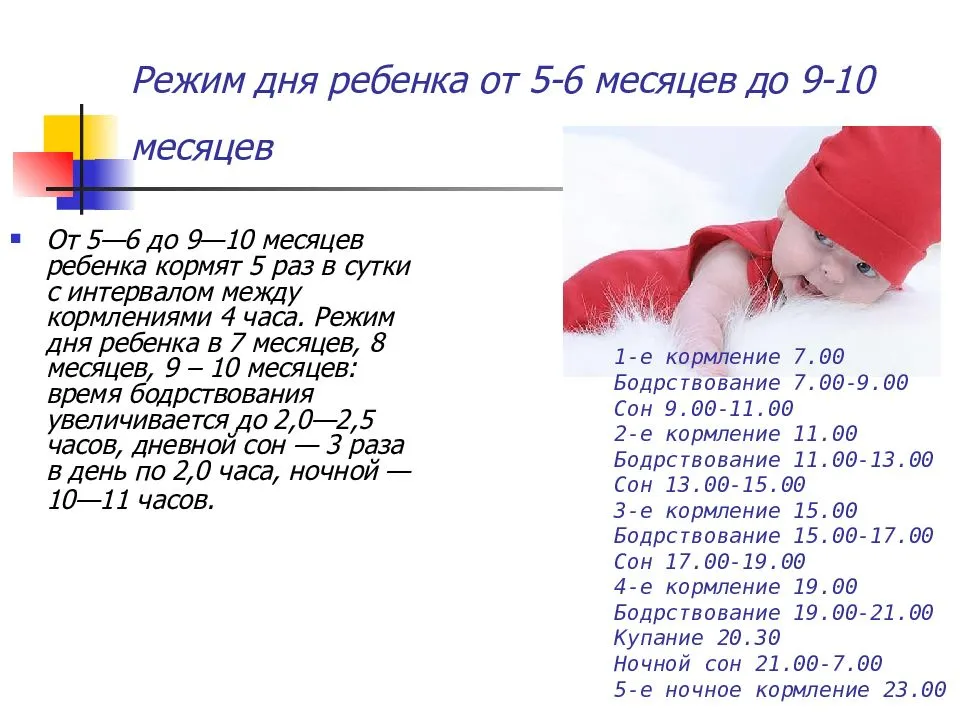 Режим ребенка в 7 месяцев: распорядок дня, сон и режим питания в этом возраст