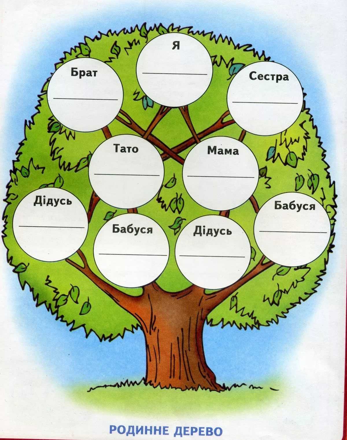 Семейное дерево своими руками (родословное, фото)
