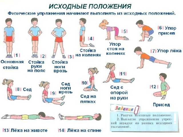 Комплекс упражнений для детей от 2 недель до 3 месяцев