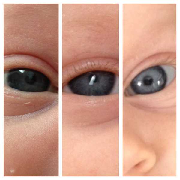 Какие глаза передадутся ребенку по родителям: определение вероятности цвета по таблице