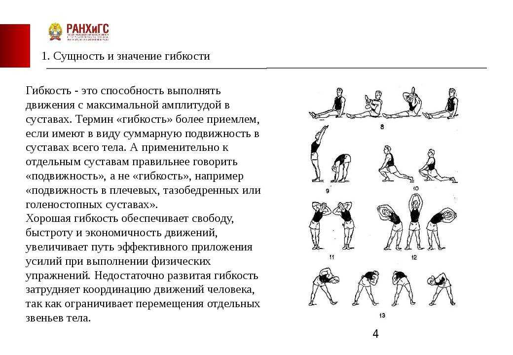 Комплекс упражнений для развития гибкости презентация